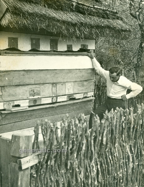 19530000 Ivan Generalic with bees, 1953