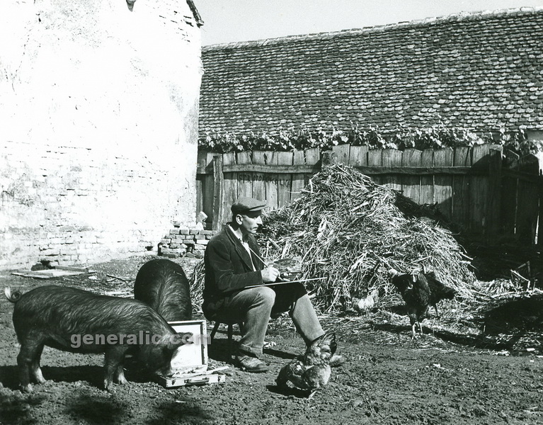19550000 Ivan Generalic and pigs eating oil colours, Hlebine 1953, photo Milan Pavic (2)