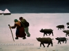 Ivan Generalic, 1959, Swineherds going home, oil on panel, 70x120 cm