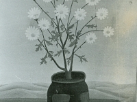 Josip Generalić, 1959, Cvijeće u ćupu (Flowers), ulje na platnu (oil on canvas)