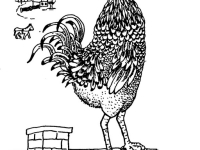 Ivan Generalić, 1961, Pijetao na krovu (Rooster on a roof), tuš na papiru (ink on paper)