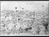 Ivan Generalic, 1965, Dvije rode (Two storks), pencil on paper (olovka na papiru)