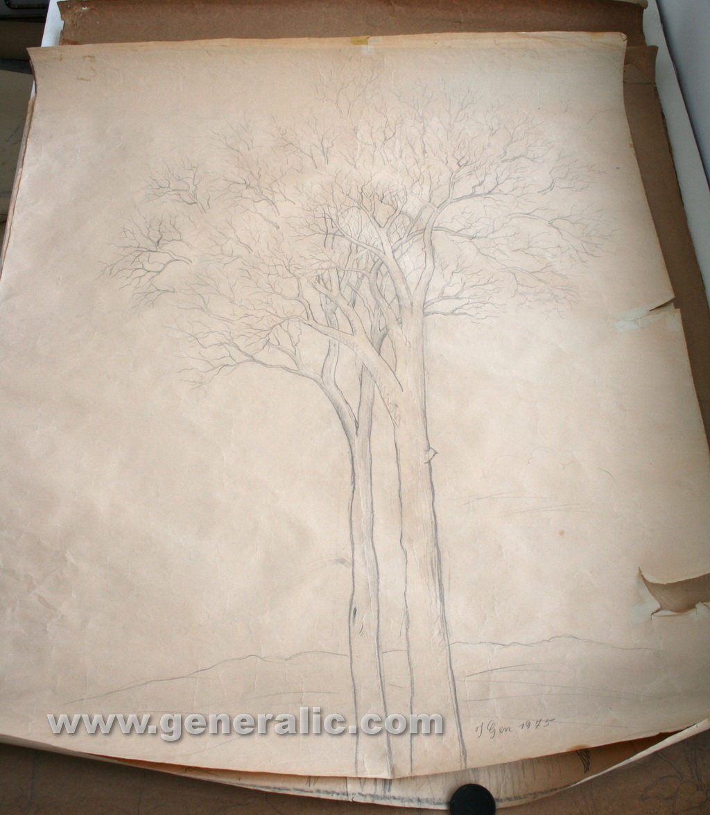 Ivan Generalic, 1975, Two trees, drawing, 130x114 cm