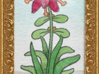 Josip Generalic, 1997, Crveni cvijet (Red flower), akvarel (watercolour)