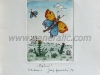 Josip Generalic, JG-F04-01 (Last one), Butterflies, water-coloured etching, 26x19 cm 12x9 cm, 1987 - 300 eur