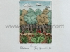 Josip Generalic, JG-F06-01(2), A forest, water-coloured etching, 27x20 cm 12x9 cm, 1986 - 200 eur