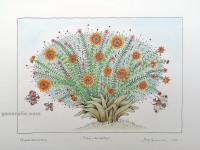 Josip Generalić, 1988, Cvijeće s tri leptira (Flowers with three butterflies), oslikani svilotisak (water-coloured silkscreen), 35x49 cm 26x37 cm, JG-L04-02(7) - 400 eur
