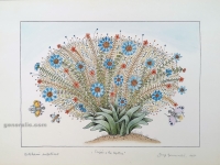 Josip Generalić, 1988, Cvijeće s tri leptira (Flowers with three butterflies), oslikani svilotisak (water-coloured silkscreen), 35x49 cm 26x37 cm, JG-L04-04(3) - 400 eur