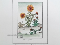 Josip Generalić, 1978, Sedam svjetova (Seven flowers), oslikani svilotisak (water-coloured silkscreen), 35x25 cm 15x10 cm, JG-O14-05(5) - 300 eur