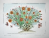 Josip Generalic, JG-L04-01(15), Flowers with three butterflies, water-coloured silkscreen, 35x49 cm 26x37 cm, 1988 - 400 eur