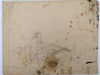 Josip Generalić, 1963, Patka (A duck), olovka na papiru (pencil on paper), 28x37 cm – Cijena na upit (Price on request)