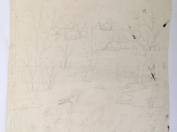 Josip Generalić, 1986, Ptica (A bird), olovka na papiru (pencil on paper), 54x35 cm – Cijena na upit (Price on request)