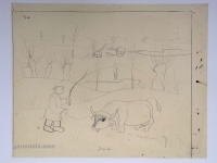 Josip Generalić, Bik na ispaši (A bull grazing), olovka na papiru (pencil on paper), 46x60 cm – Cijena na upit (Price on request)