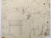 Josip Generalić, Jelen (A deer), olovka na papiru (pencil on paper), 34x41 cm – Cijena na upit (Price on request)