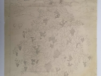 Josip Generalić, Rodni vinograd (Vineyard), olovka na papiru (pencil on paper), 55x48 cm – Cijena na upit (Price on request)