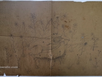 Josip Generalić, Životinjska lubanja (Animal skull), olovka na papiru (pencil on paper), 62x100 cm – Cijena na upit (Price on request)
