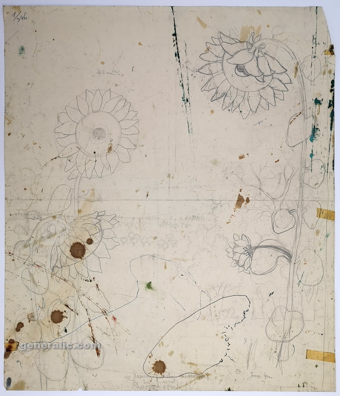 Josip Generalić, 1974, Suncokreti (Sunflowers), olovka na papiru (pencil on paper), 61x52 cm – Cijena na upit (Price on request)
